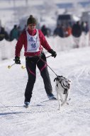 Lenk 2013